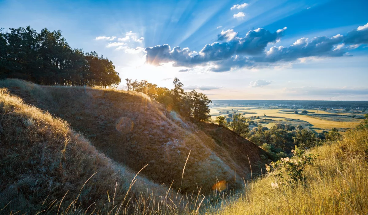 Gdzie wypożyczyć krzesła?