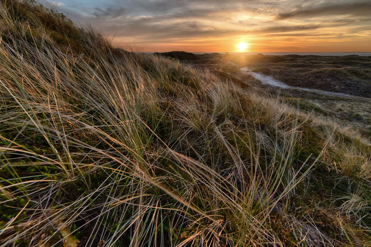 8 Wypowiedzi Ekspertów Na To Jak jeździć samochodem
