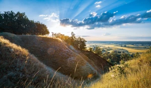 Elewacja, kostka brukowa w ogrodzie i tak dalej